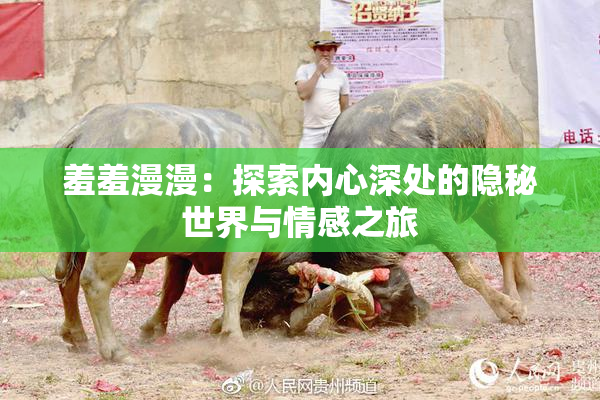 羞羞漫漫：探索内心深处的隐秘世界与情感之旅