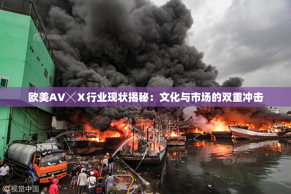 欧美AV╳Ⅹ行业现状揭秘：文化与市场的双重冲击