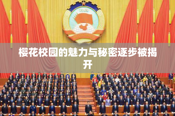 樱花校园的魅力与秘密逐步被揭开