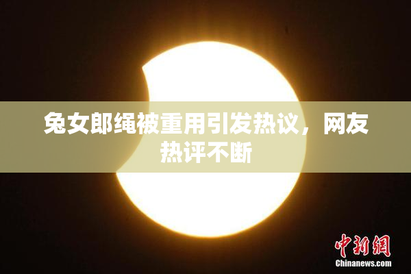 兔女郎绳被重用引发热议，网友热评不断