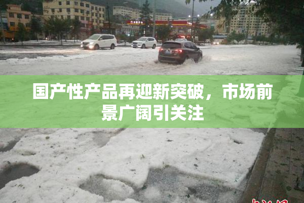 国产性产品再迎新突破，市场前景广阔引关注