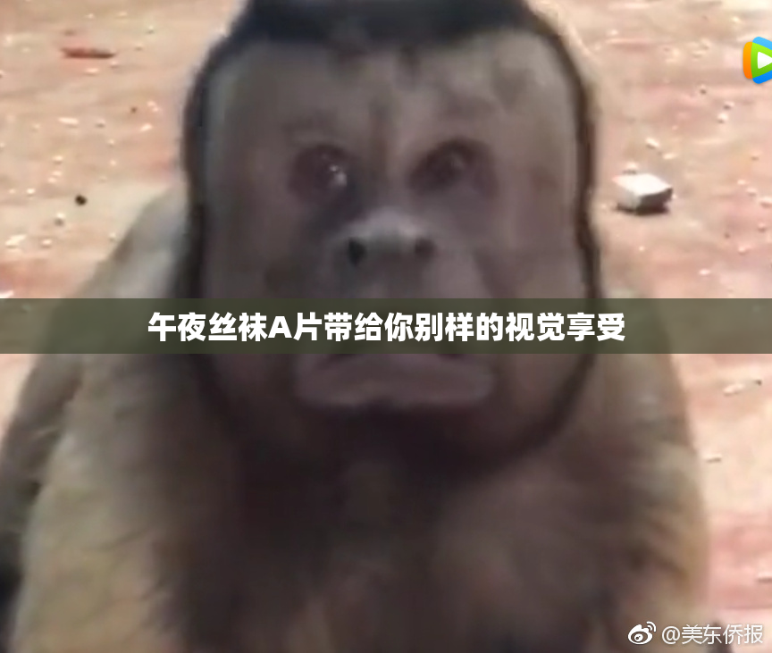午夜丝袜A片带给你别样的视觉享受