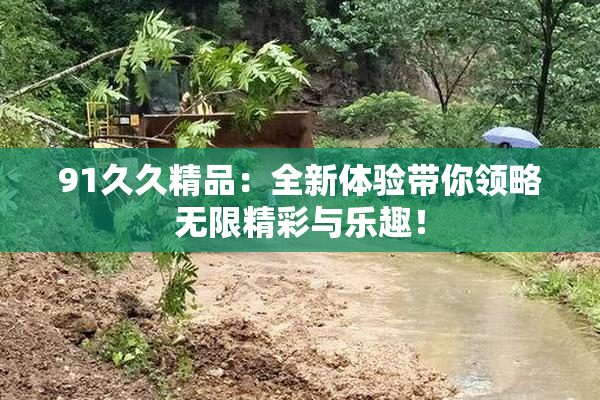 91久久精品：全新体验带你领略无限精彩与乐趣！