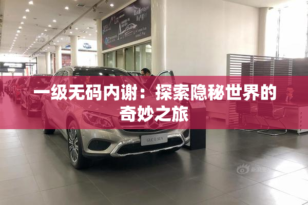 一级无码内谢：探索隐秘世界的奇妙之旅