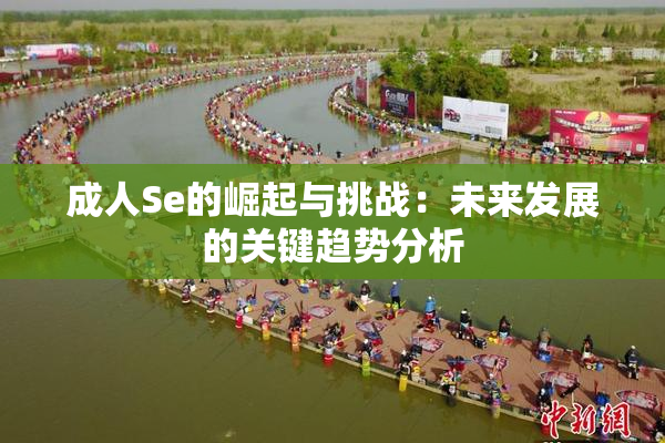 成人Se的崛起与挑战：未来发展的关键趋势分析