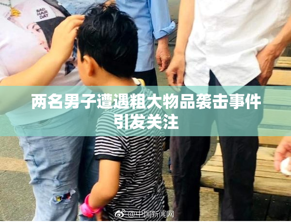 两名男子遭遇粗大物品袭击事件引发关注