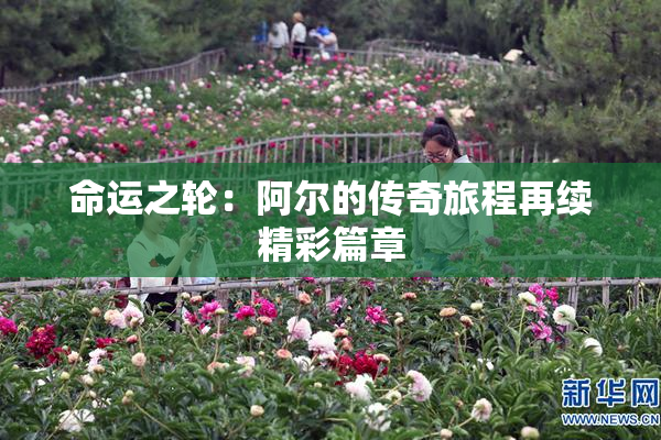 命运之轮：阿尔的传奇旅程再续精彩篇章