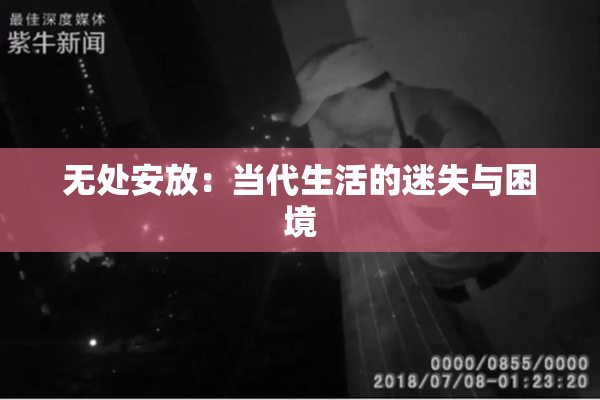 无处安放：当代生活的迷失与困境