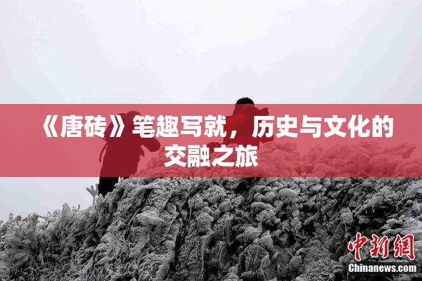 《唐砖》笔趣写就，历史与文化的交融之旅