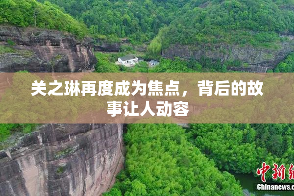 关之琳再度成为焦点，背后的故事让人动容