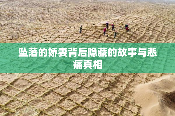 坠落的娇妻背后隐藏的故事与悲痛真相
