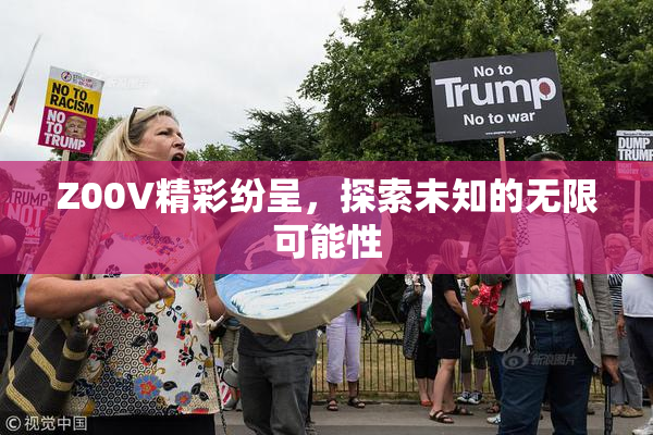 Z00V精彩纷呈，探索未知的无限可能性