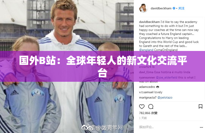 国外B站：全球年轻人的新文化交流平台