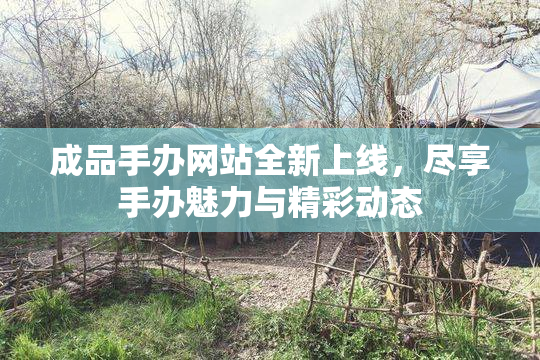 成品手办网站全新上线，尽享手办魅力与精彩动态