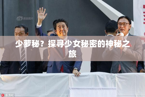 少萝秘？探寻少女秘密的神秘之旅