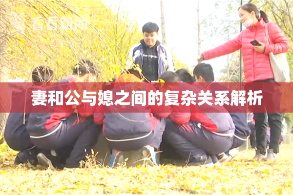 妻和公与媳之间的复杂关系解析