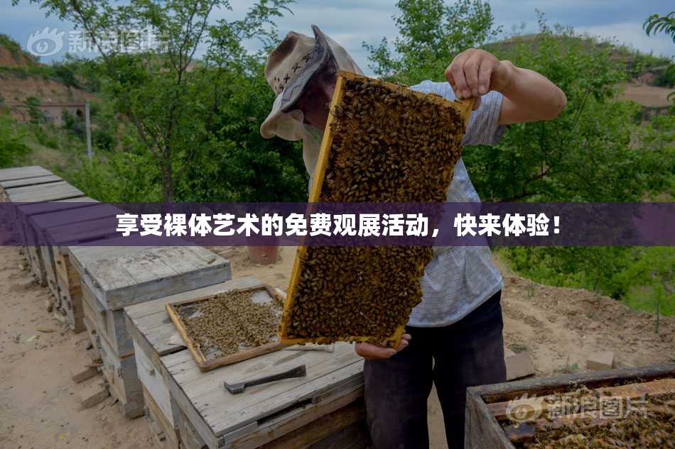 享受裸体艺术的免费观展活动，快来体验！