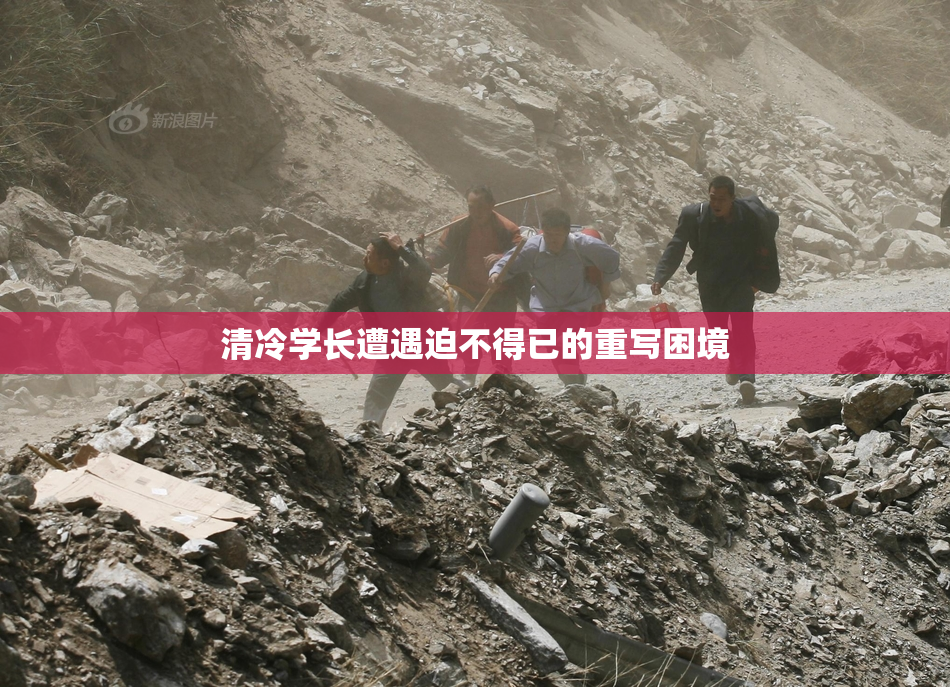 清冷学长遭遇迫不得已的重写困境