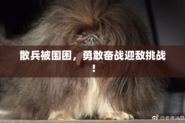 散兵被围困，勇敢奋战迎敌挑战！