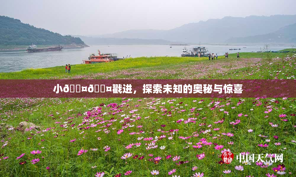 小🐤🐤戳进，探索未知的奥秘与惊喜