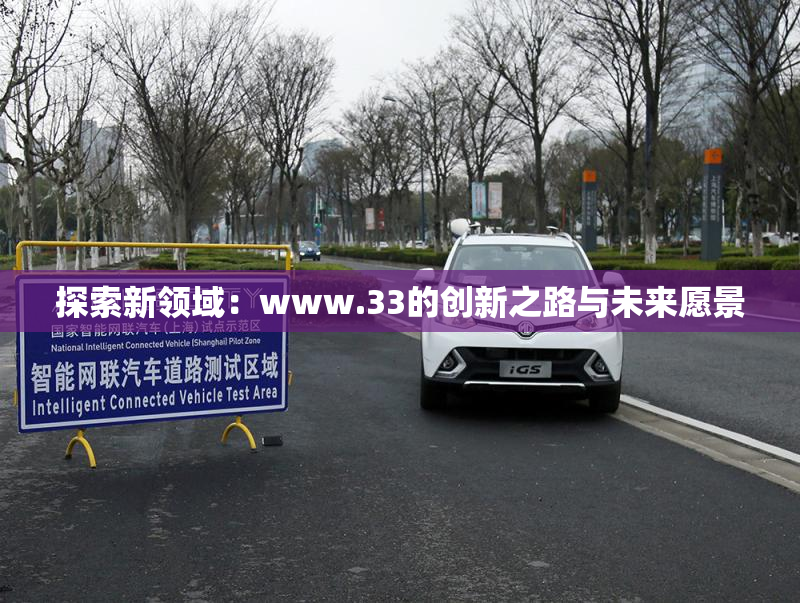 探索新领域：www.33的创新之路与未来愿景