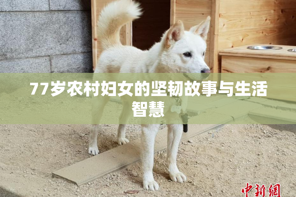 77岁农村妇女的坚韧故事与生活智慧