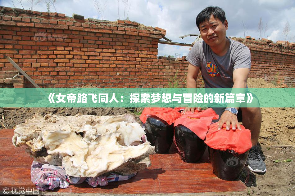 《女帝路飞同人：探索梦想与冒险的新篇章》