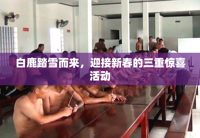 白鹿踏雪而来，迎接新春的三重惊喜活动
