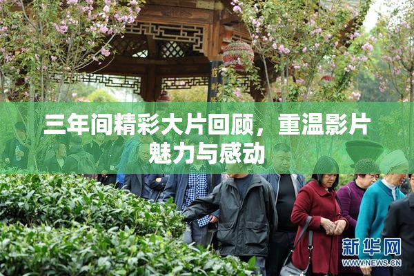 三年间精彩大片回顾，重温影片魅力与感动