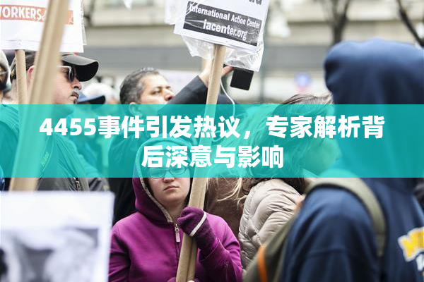 4455事件引发热议，专家解析背后深意与影响