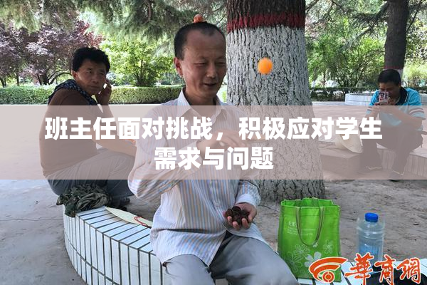 班主任面对挑战，积极应对学生需求与问题