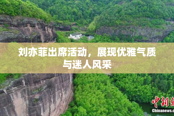 刘亦菲出席活动，展现优雅气质与迷人风采