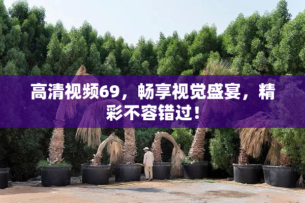 高清视频69，畅享视觉盛宴，精彩不容错过！