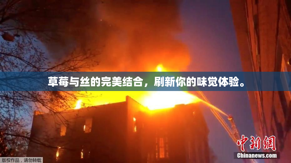 草莓与丝的完美结合，刷新你的味觉体验。
