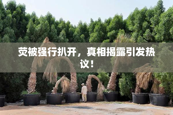 荧被强行扒开，真相揭露引发热议！