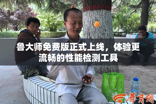 鲁大师免费版正式上线，体验更流畅的性能检测工具