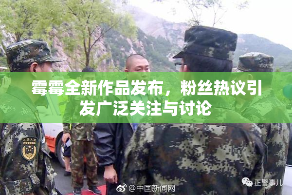 霉霉全新作品发布，粉丝热议引发广泛关注与讨论