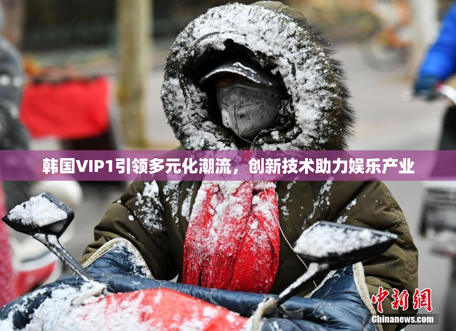 韩国VIP1引领多元化潮流，创新技术助力娱乐产业