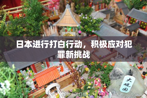 日本进行打白行动，积极应对犯罪新挑战
