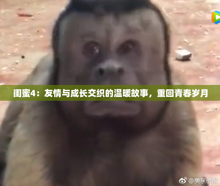 闺蜜4：友情与成长交织的温暖故事，重回青春岁月