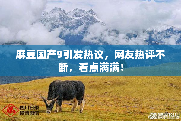 麻豆国产9引发热议，网友热评不断，看点满满！