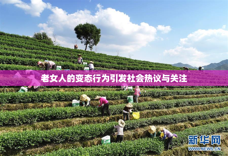 老女人的变态行为引发社会热议与关注