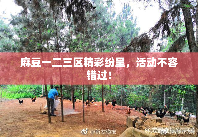 麻豆一二三区精彩纷呈，活动不容错过！