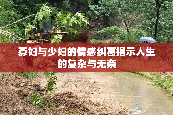 寡妇与少妇的情感纠葛揭示人生的复杂与无奈