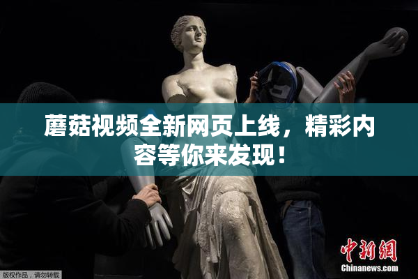 蘑菇视频全新网页上线，精彩内容等你来发现！