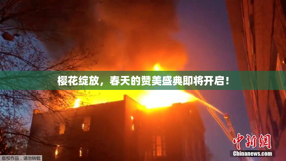 樱花绽放，春天的赞美盛典即将开启！