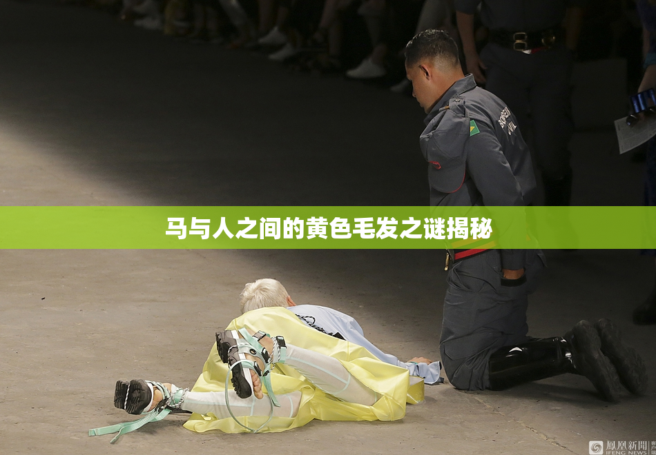 马与人之间的黄色毛发之谜揭秘