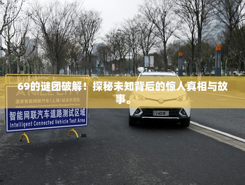 69的谜团破解！探秘未知背后的惊人真相与故事。