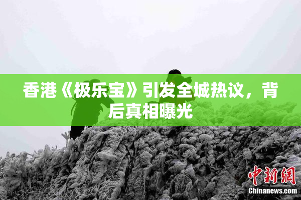 香港《极乐宝》引发全城热议，背后真相曝光