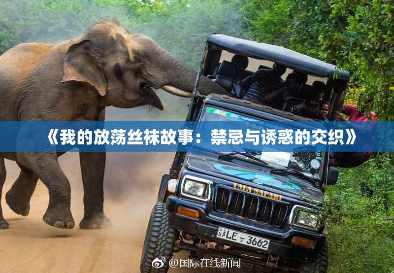《我的放荡丝袜故事：禁忌与诱惑的交织》